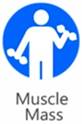 icon muscle