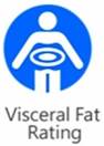 icon visceral